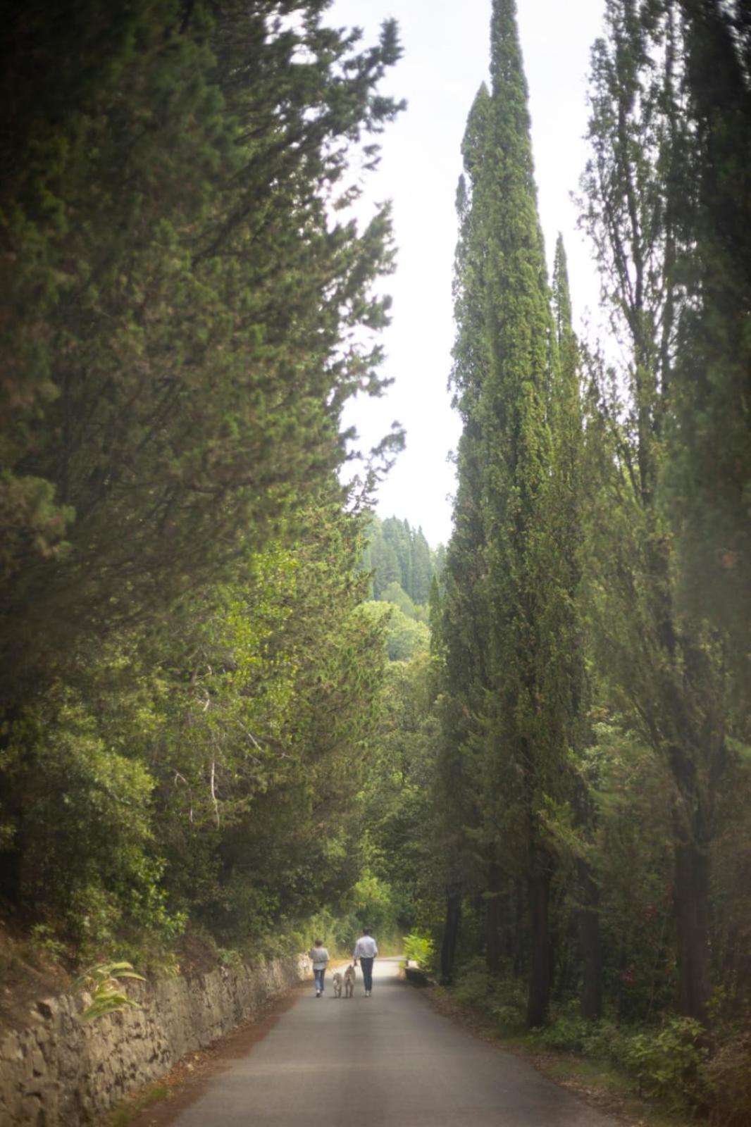Agriturismo Tassinaia Pontassieve Kültér fotó