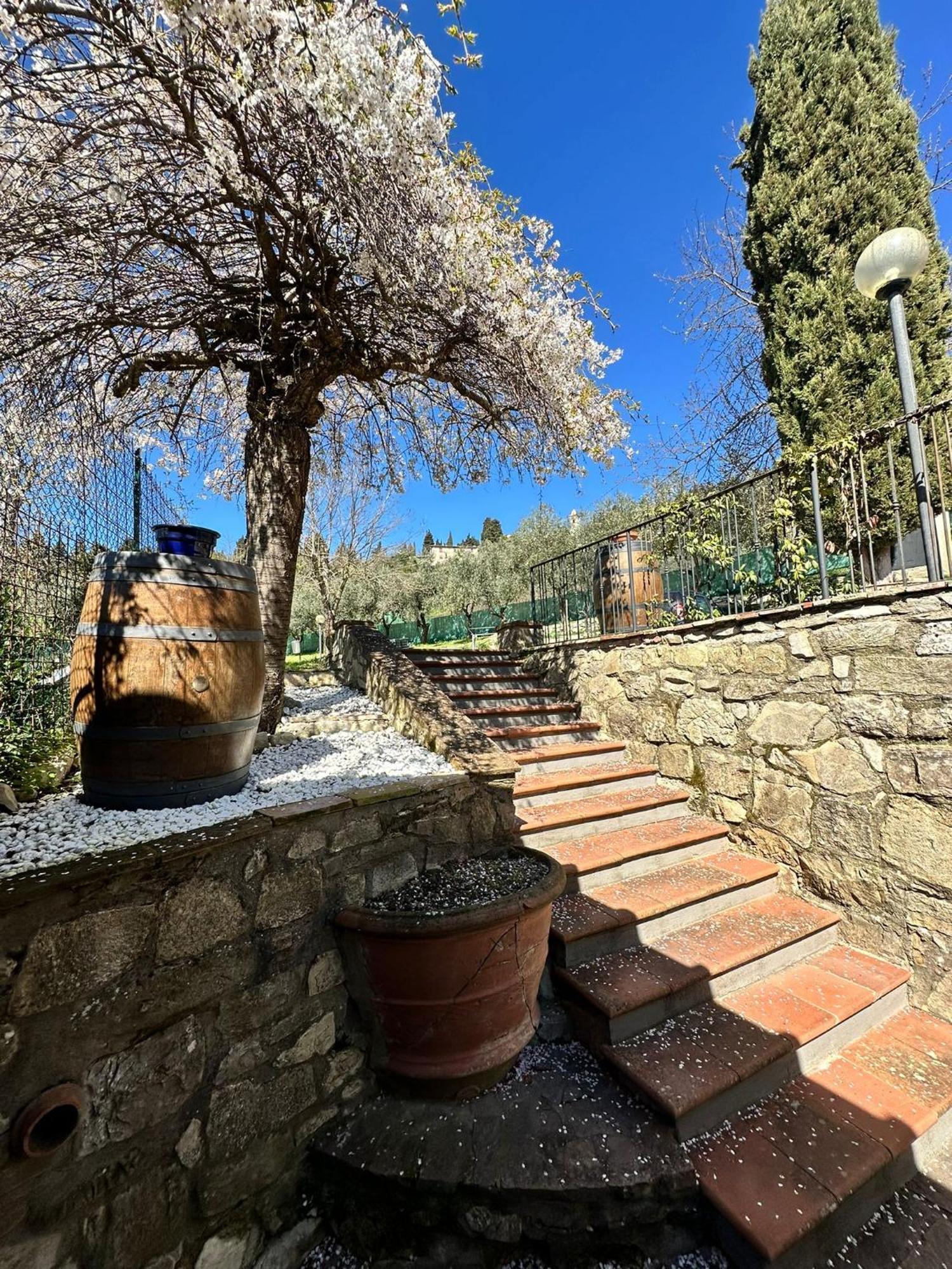 Agriturismo Tassinaia Pontassieve Kültér fotó