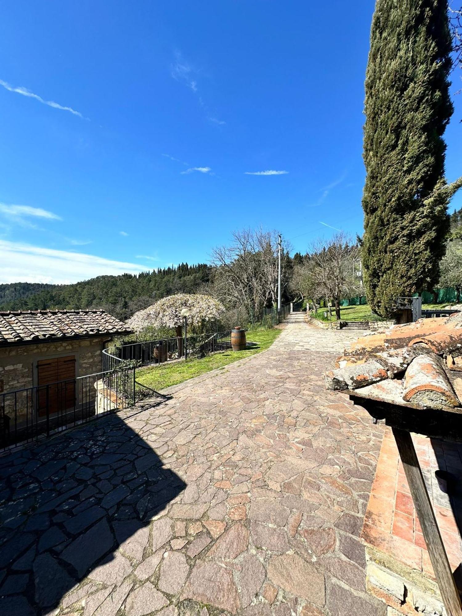 Agriturismo Tassinaia Pontassieve Kültér fotó