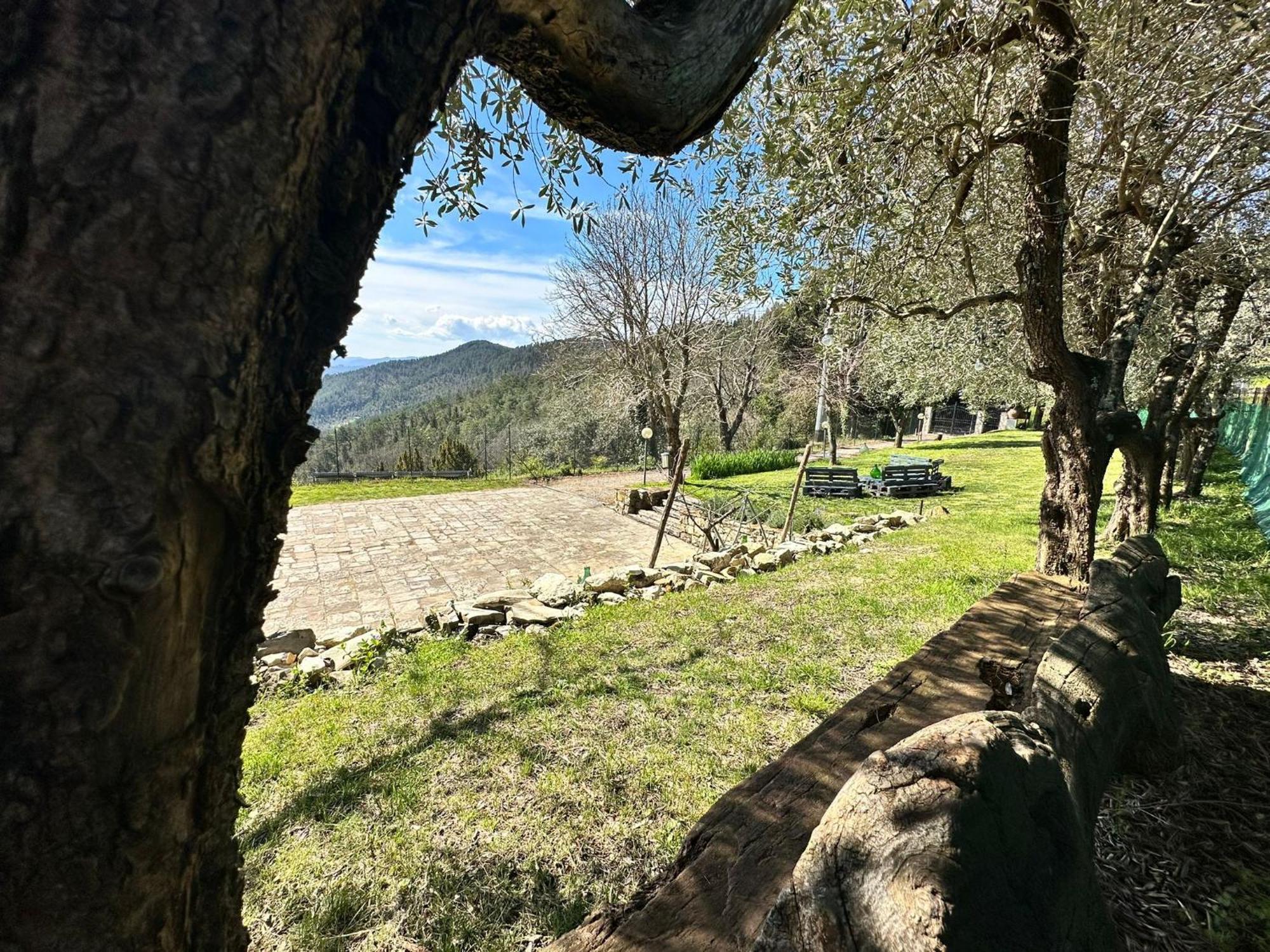 Agriturismo Tassinaia Pontassieve Kültér fotó