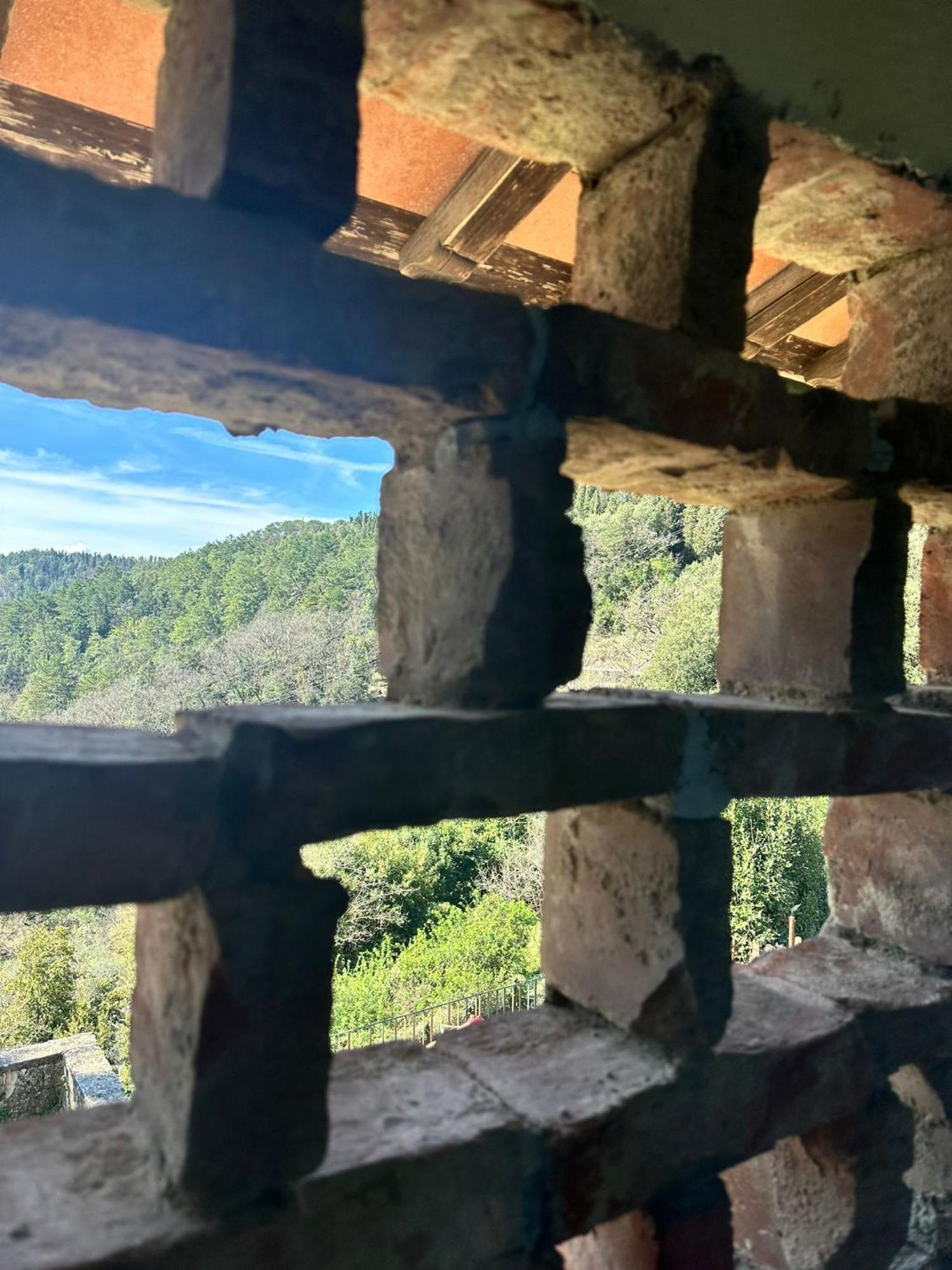 Agriturismo Tassinaia Pontassieve Kültér fotó
